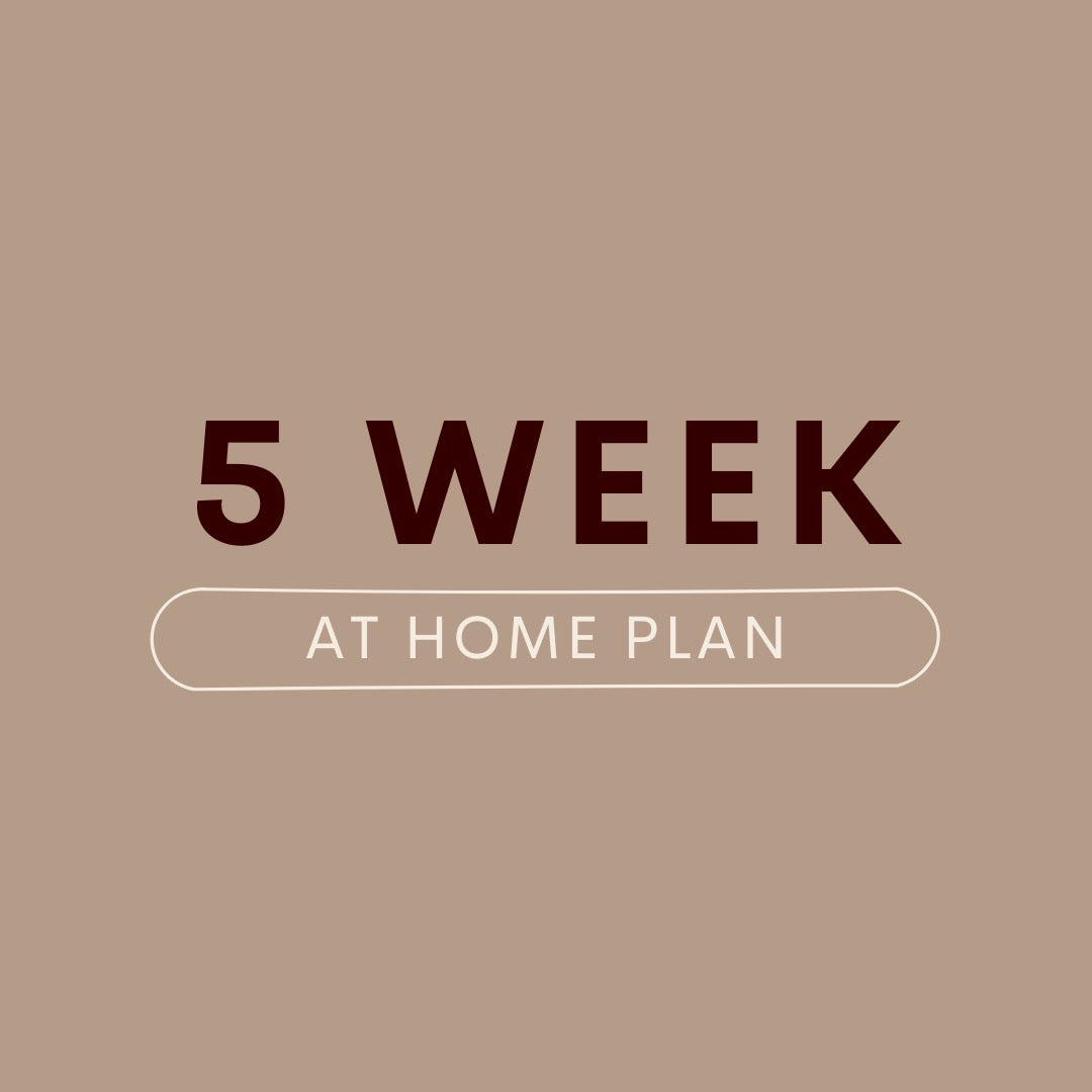 5 Week Home Workout Plan
